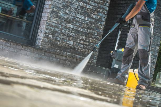 Best Driveway Cleaning and Restoration in Downers Grove, IL