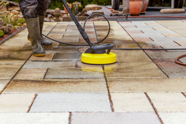 Best Gutter Cleaning and Brightening in Downers Grove, IL