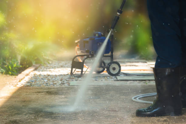 Best Roof Cleaning and Mildew Removal in Downers Grove, IL